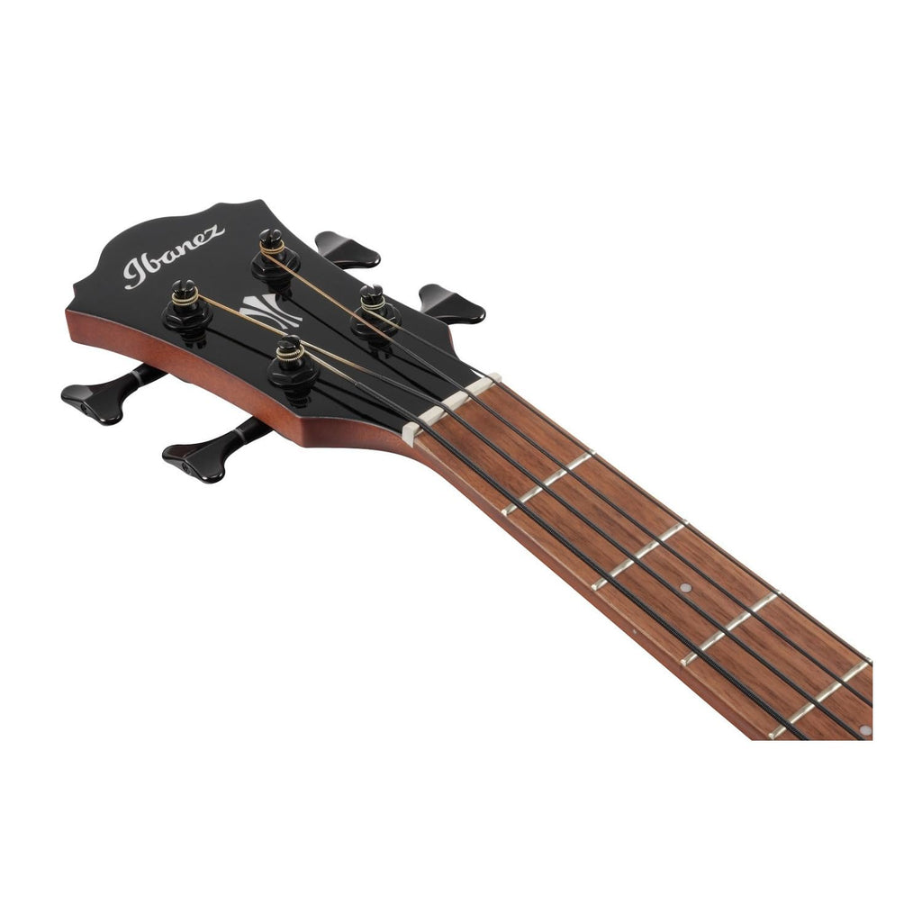 Black High Gloss Acoustic-electric Bass Guitar Q274