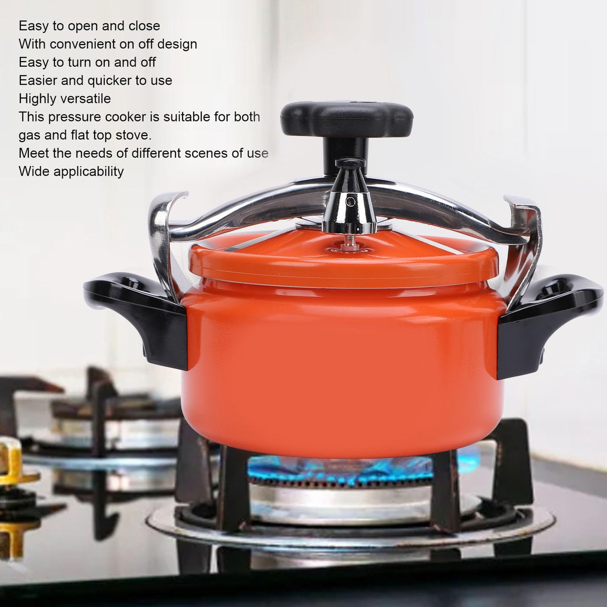 Aluminum Alloy 2L Pressure Cooker K9876