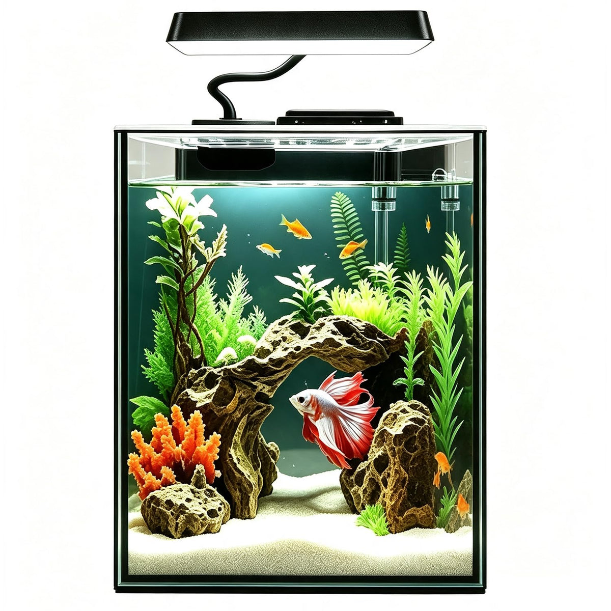 1.5 Gallon Glass Betta Aquarium Starter Kit with LED Light and Power Filter Q383316