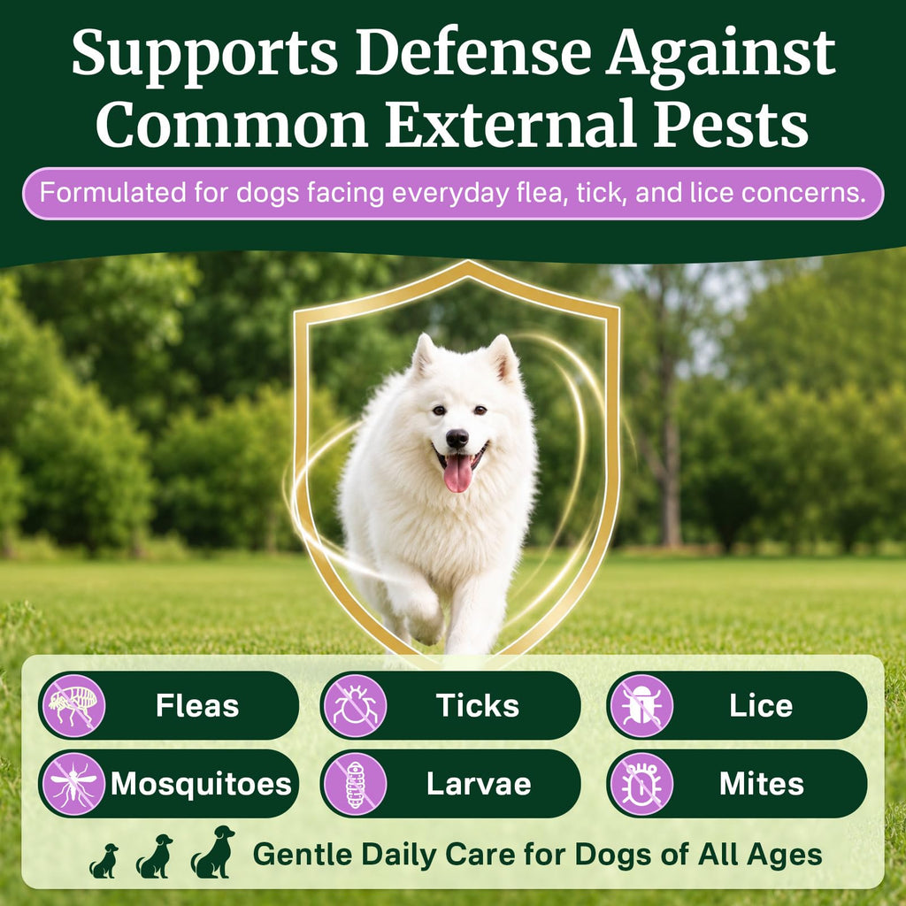 Dog Flea and Tick Prevention Chewables H371