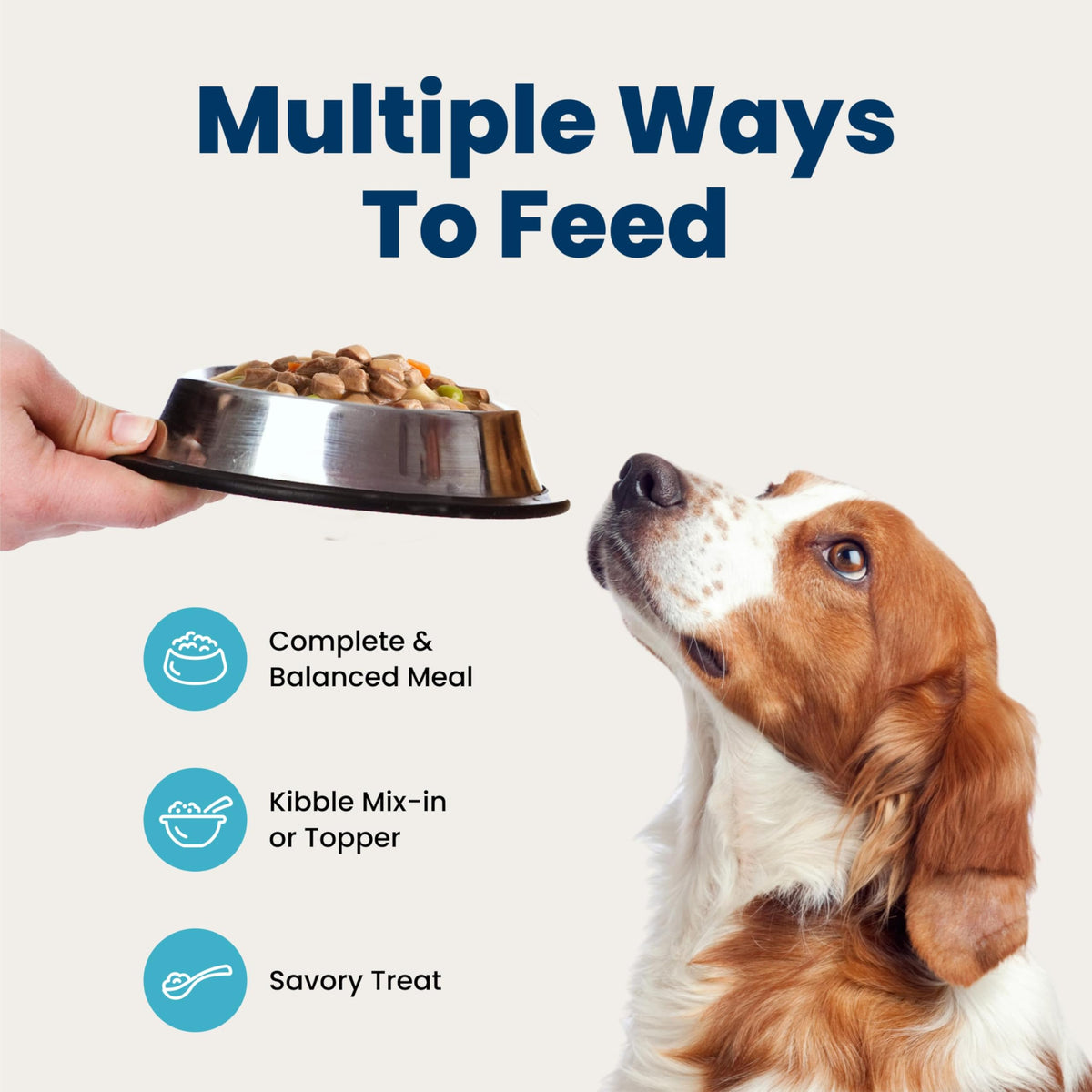 Wet Dog Food 12.5 oz 6 ct K53675