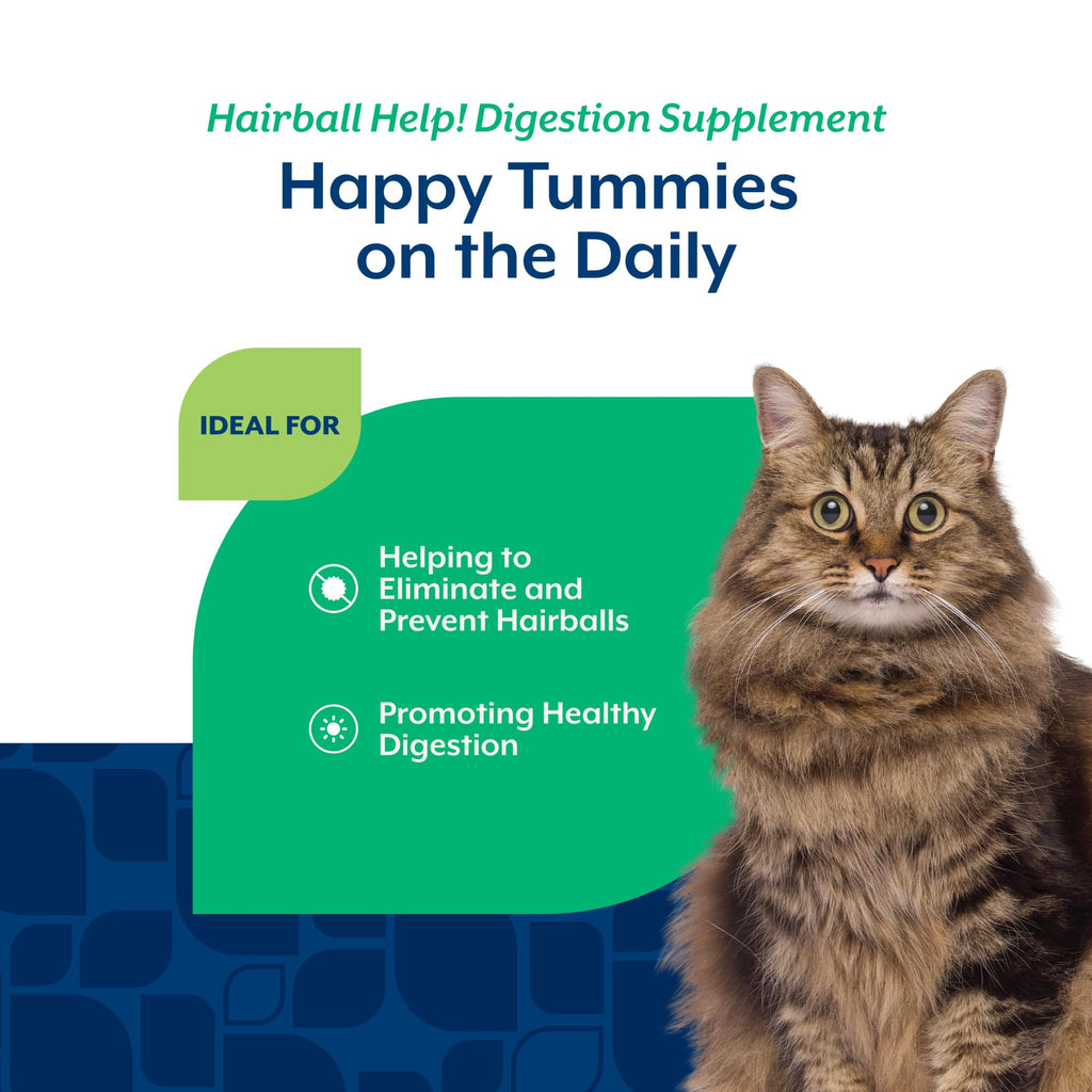 Hairball Aid Supplement for Cats Plus Pumpkin 60 Soft Chews E25529