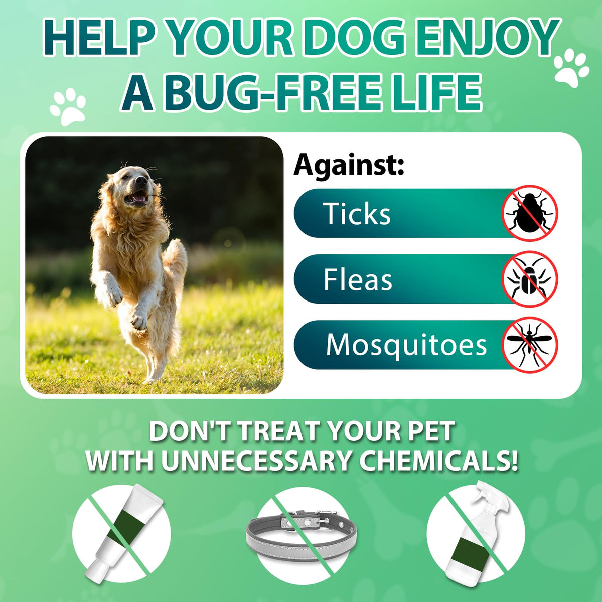 Flea and Tick Prevention for Dogs Chewables, 200 Soft Chews R692593