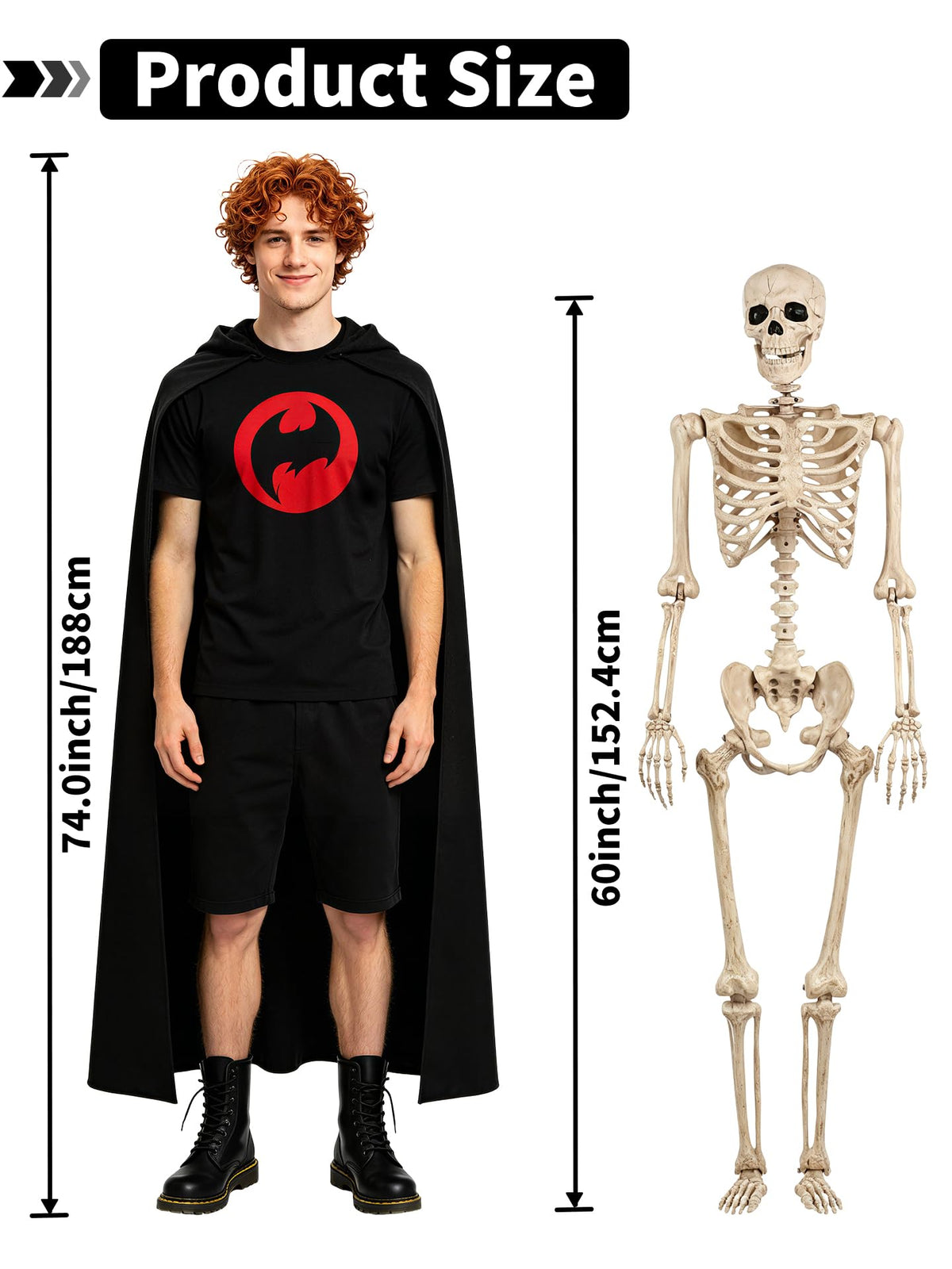 Life Size Posable Skeleton with Movable Joints F42617