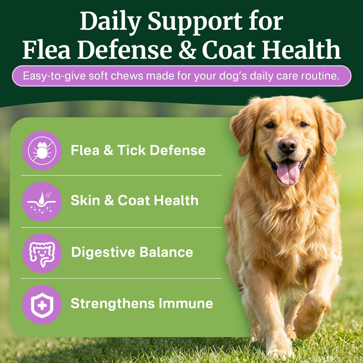 Dog Flea and Tick Prevention Chewables H371