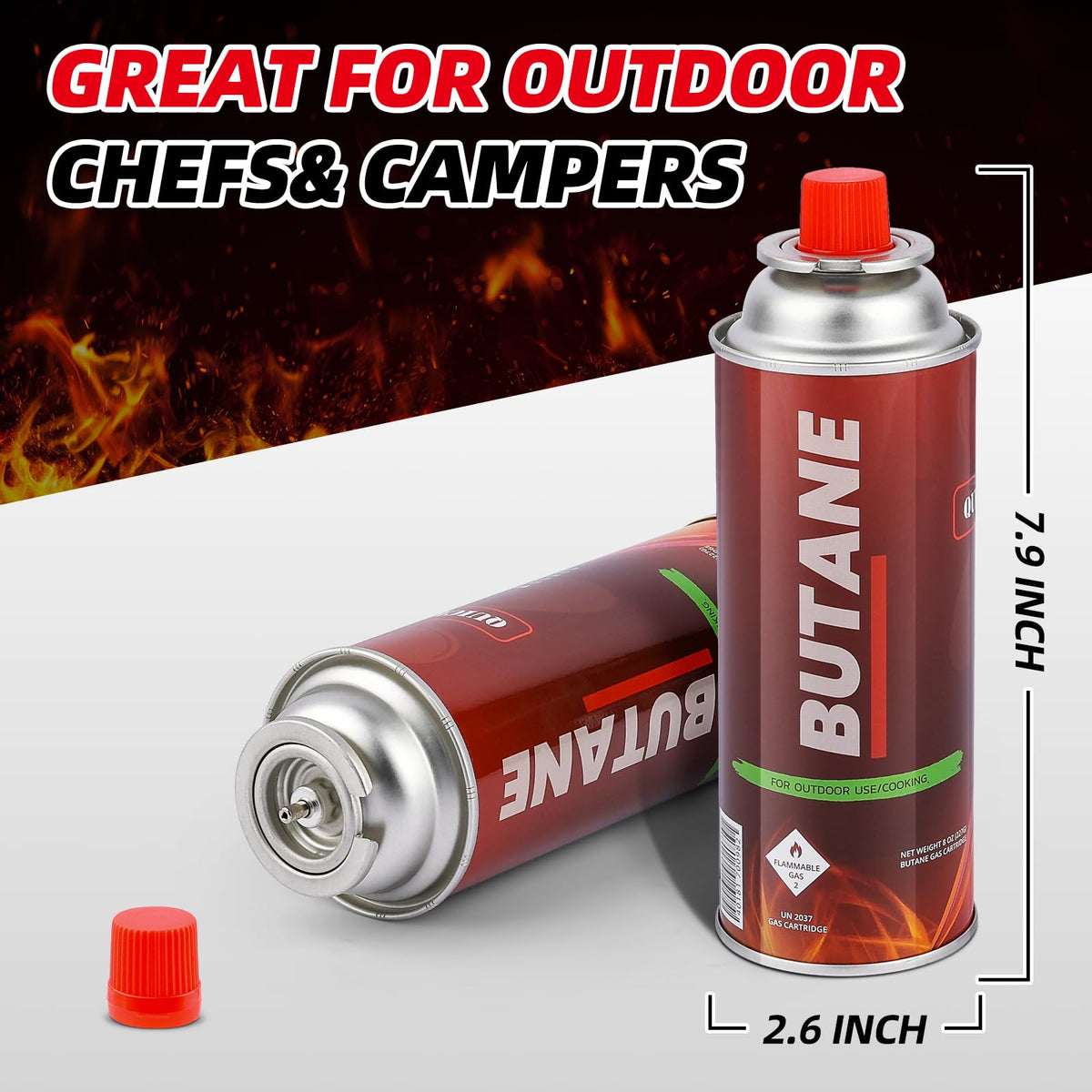 12 Pack Butane Fuel Canister P377887