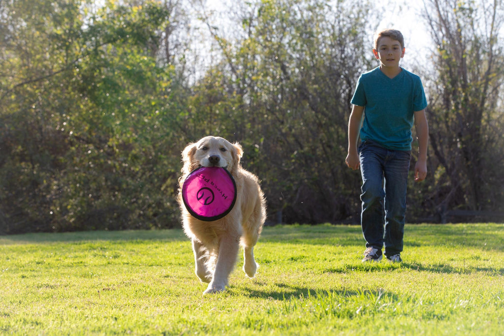 Soft Dog Toy Flying Disc 9 Inch 5 Pack L452207