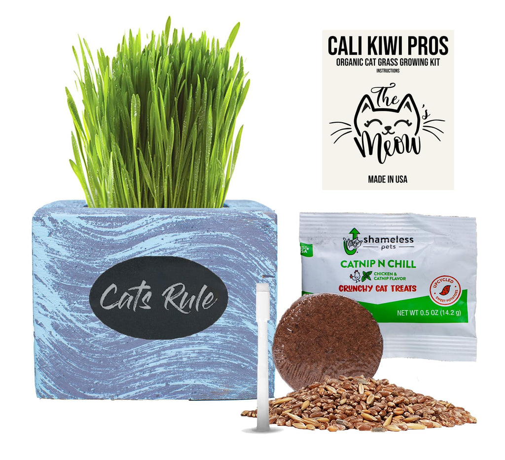 Organic Wheatgrass Seed & Soil Cat Grass Kit C208