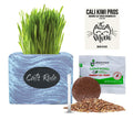 Organic Wheatgrass Seed & Soil Cat Grass Kit C208