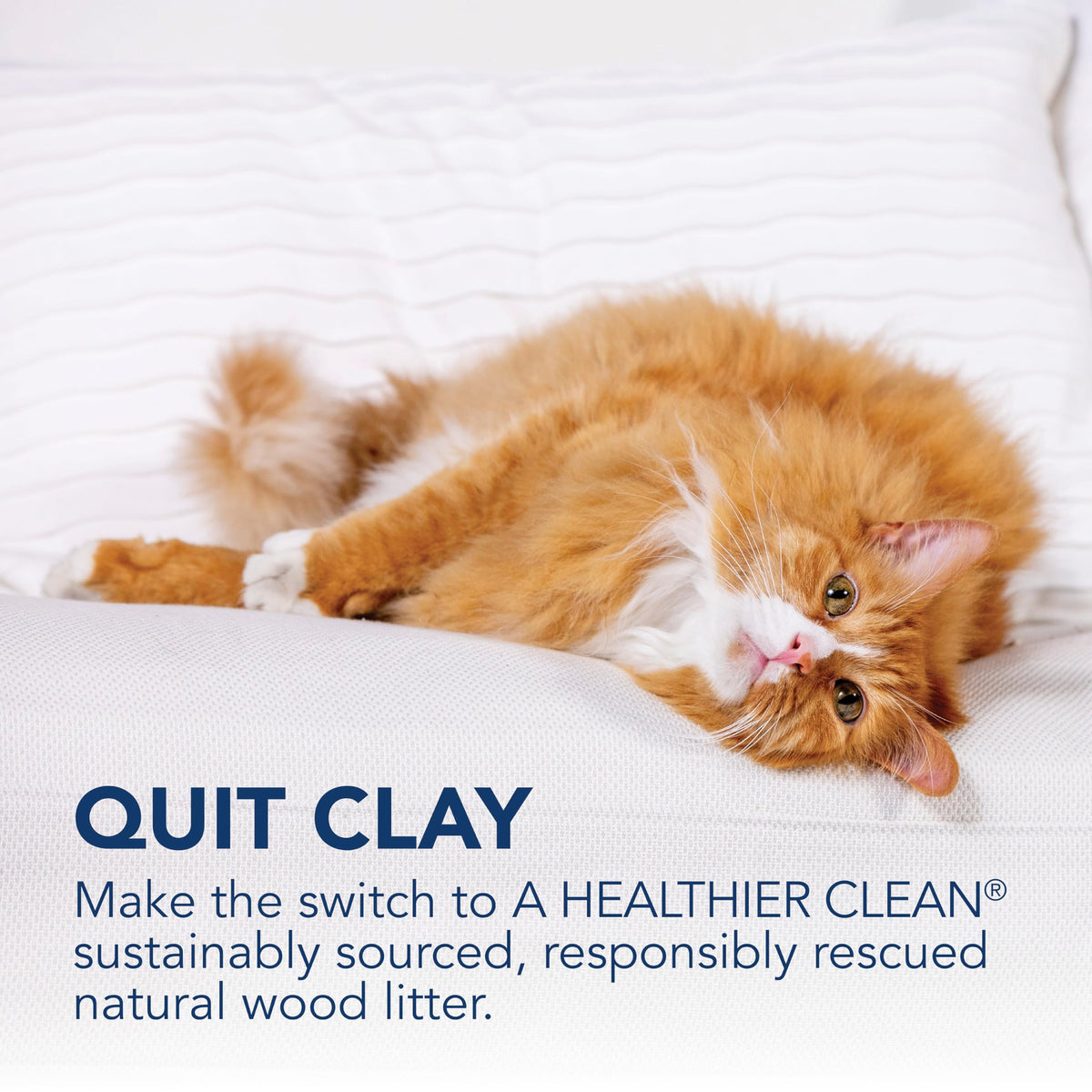 Unscented Wood Clumping Cat Litter Mini-Pellets 18.6 pounds D212707
