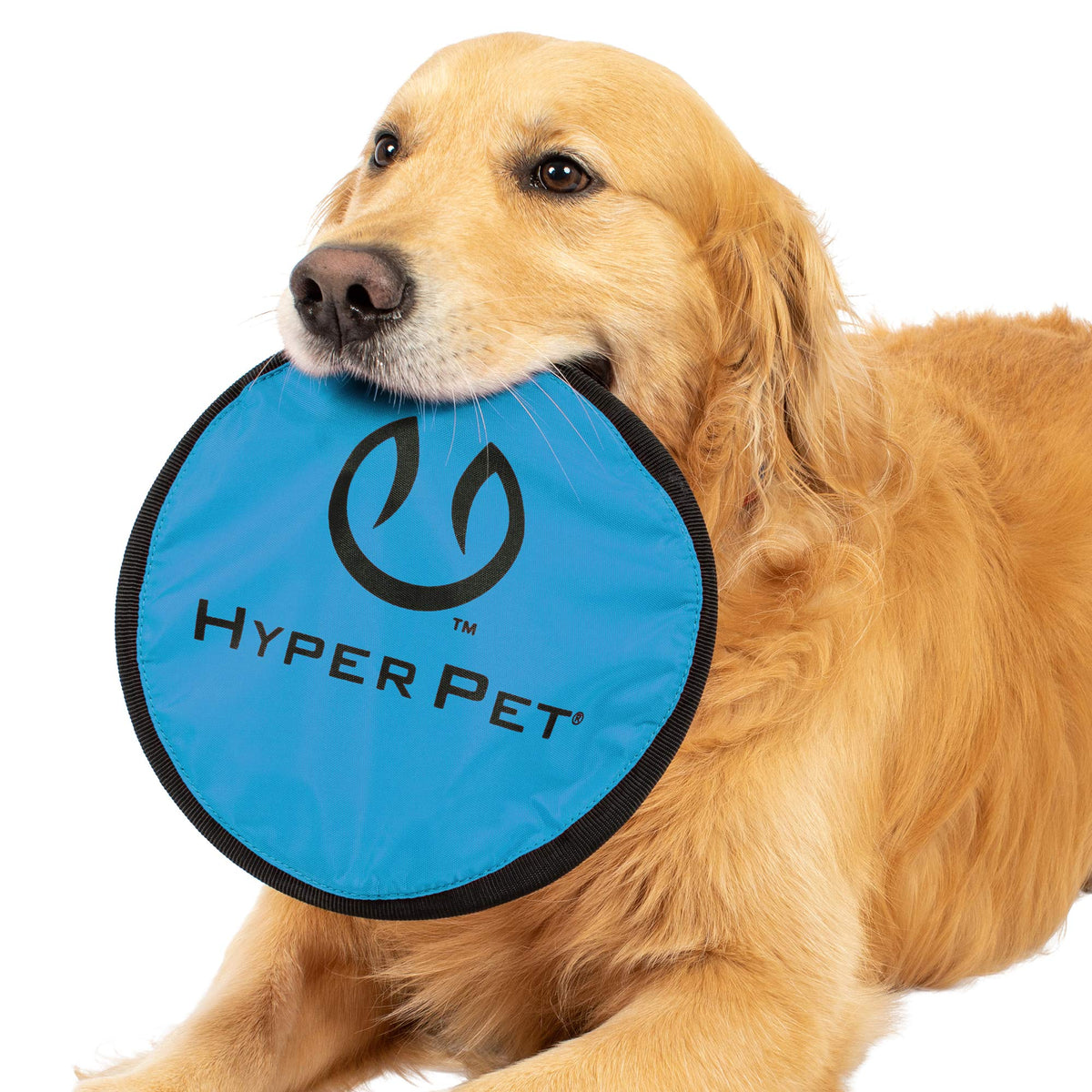 Soft Dog Toy Flying Disc 9 Inch 5 Pack L452207