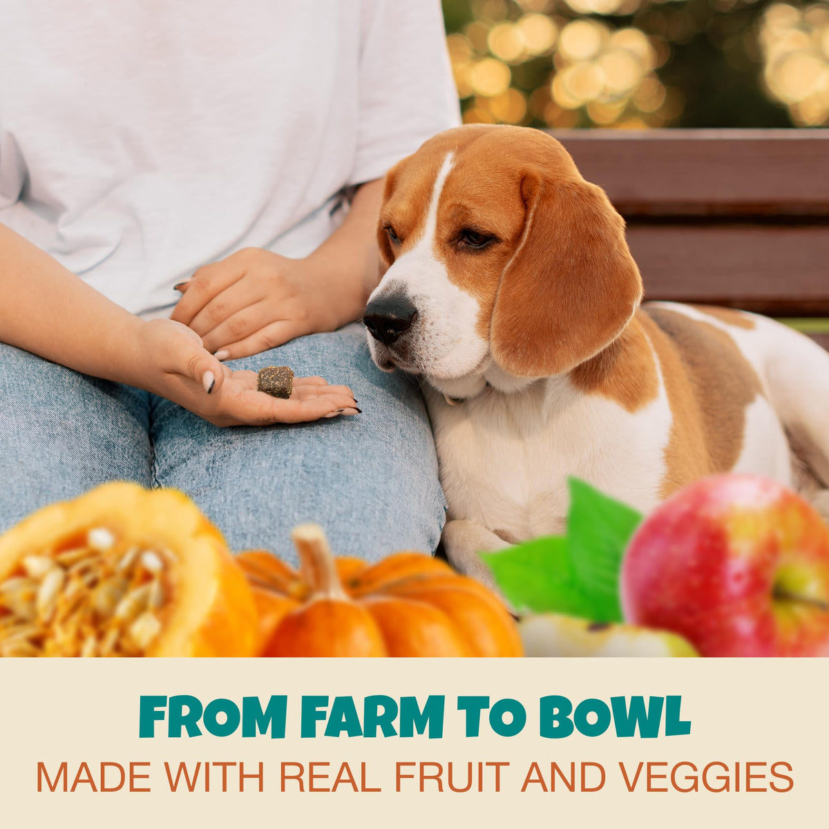 Pill Wraps for Dogs with Pumpkin and Probiotics G4865