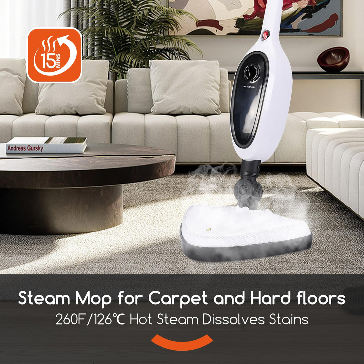 Lightweight Steam Mop with Attachments L742