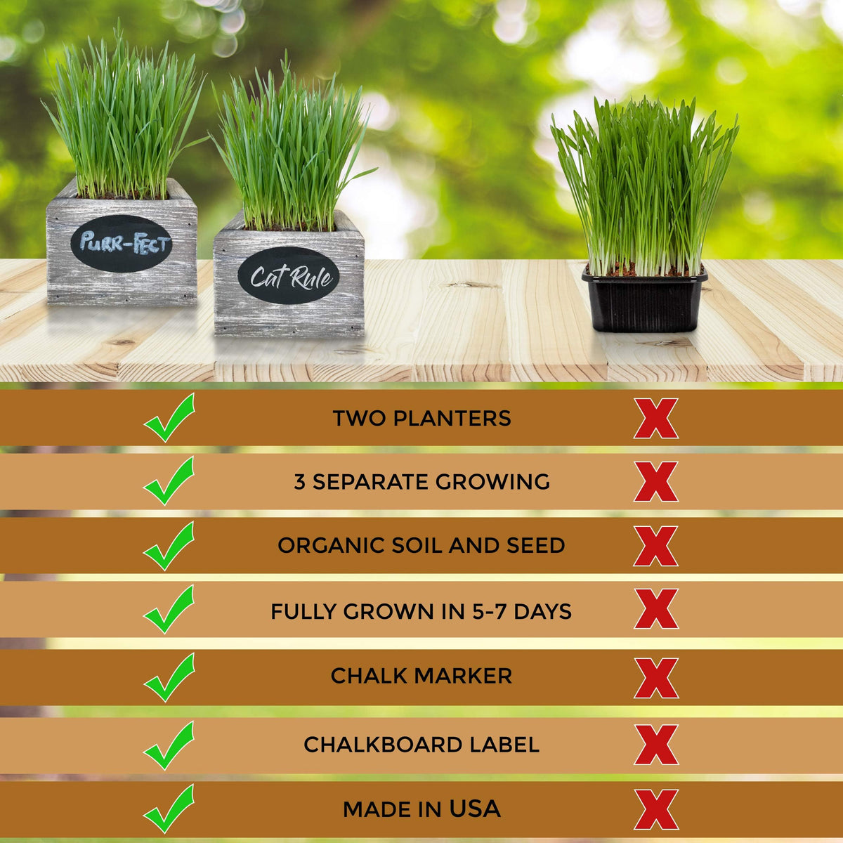 Organic Wheatgrass Seed & Soil Cat Grass Kit C208