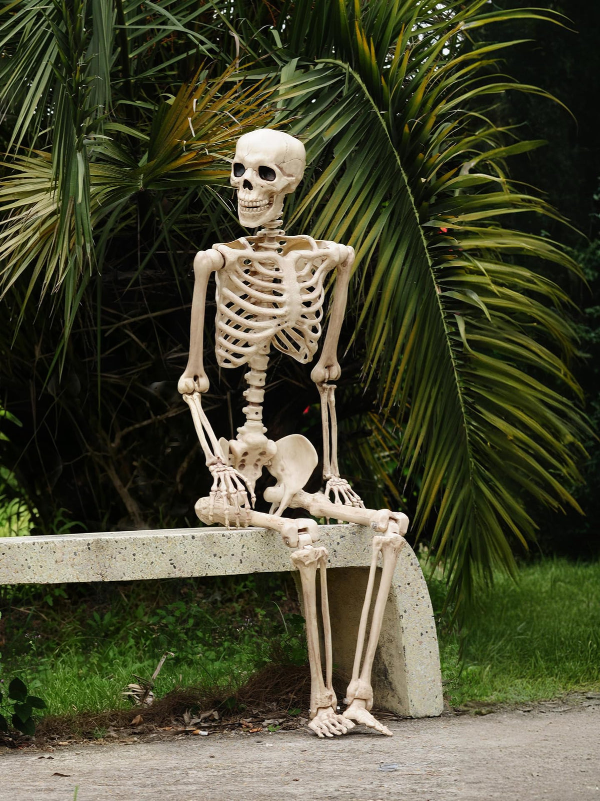 Life Size Posable Skeleton with Movable Joints F42617
