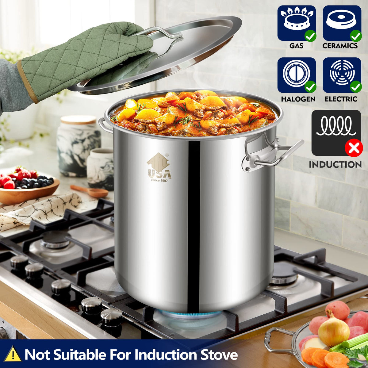 40QT Stainless Steel Stock Pot and 55,000BTU Propane Burner E916654