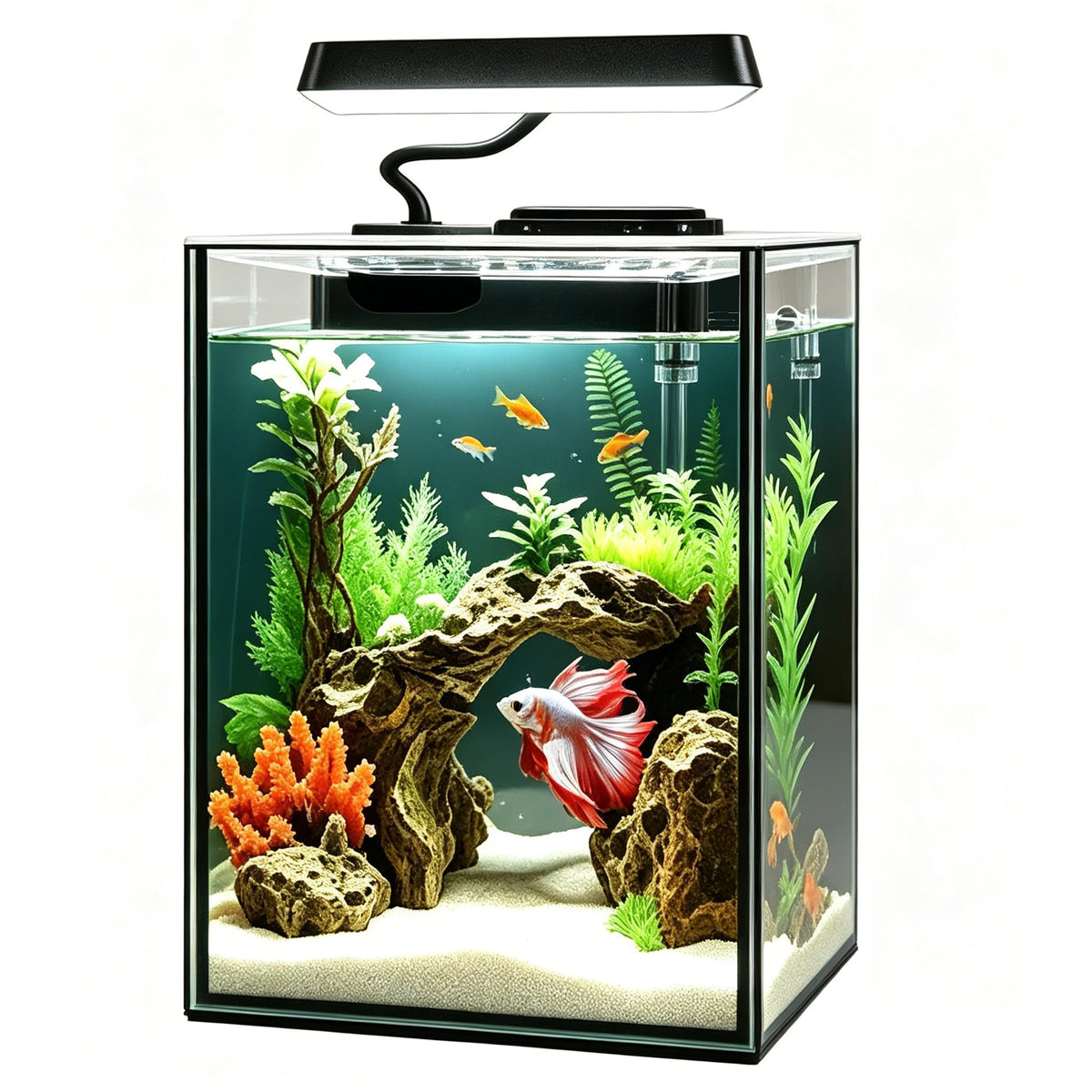 1.5 Gallon Glass Betta Aquarium Starter Kit with LED Light and Power Filter Q383316