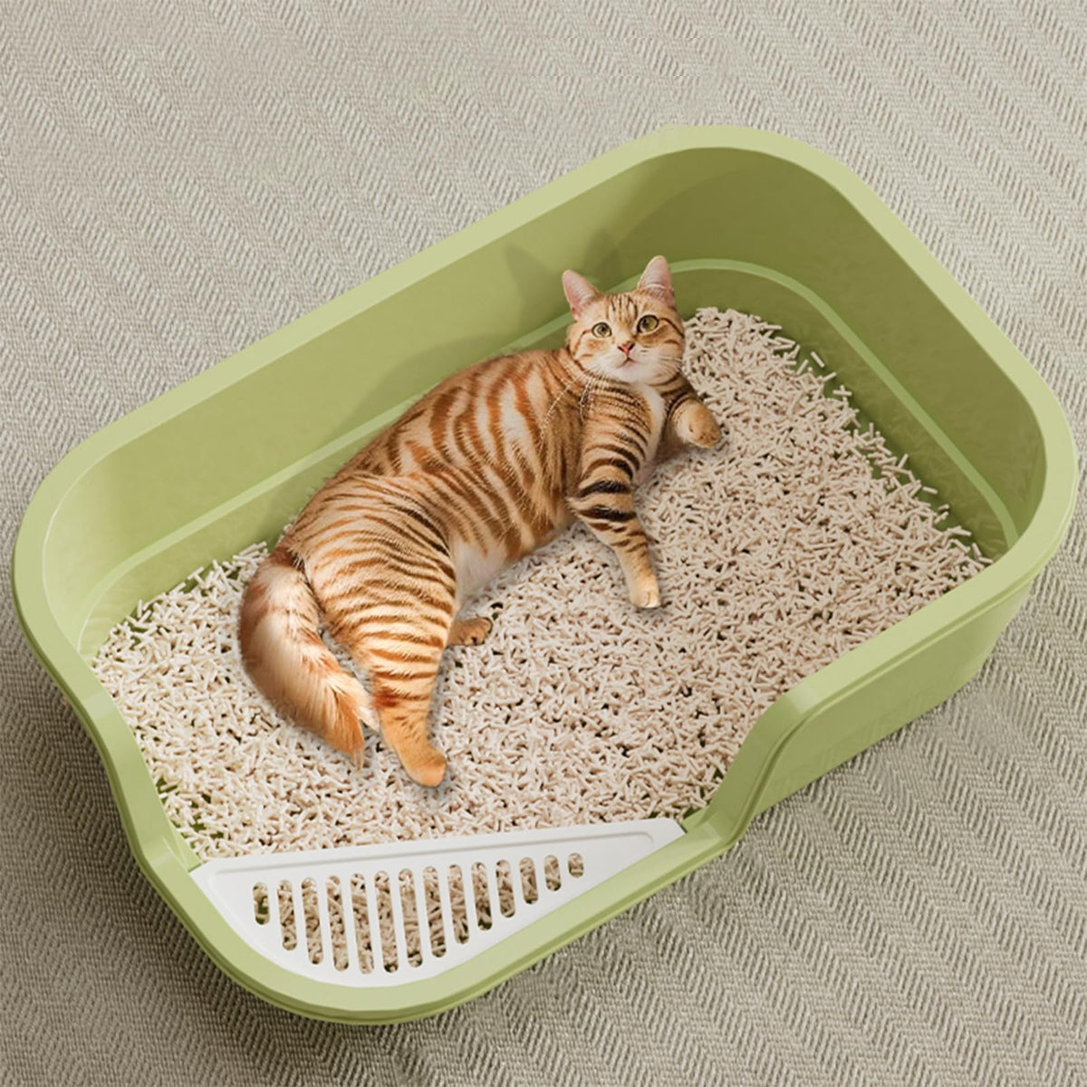 Extra Large High Sides Low Entry Cat Litter Box C924747
