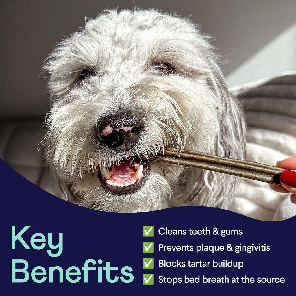 Dental Chews for Dogs 25+ lbs A137244