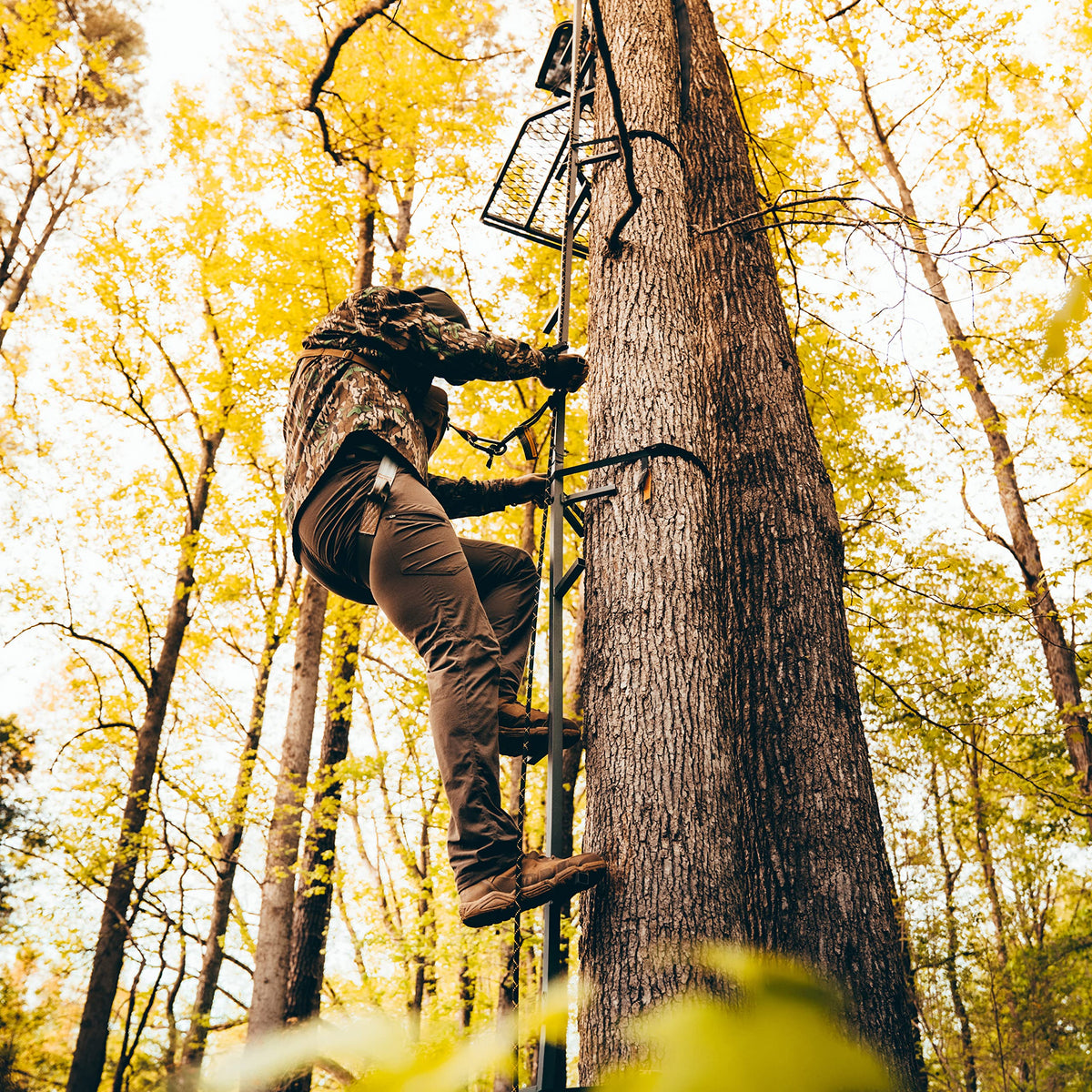 20’ Tree Climbing Stick W182944