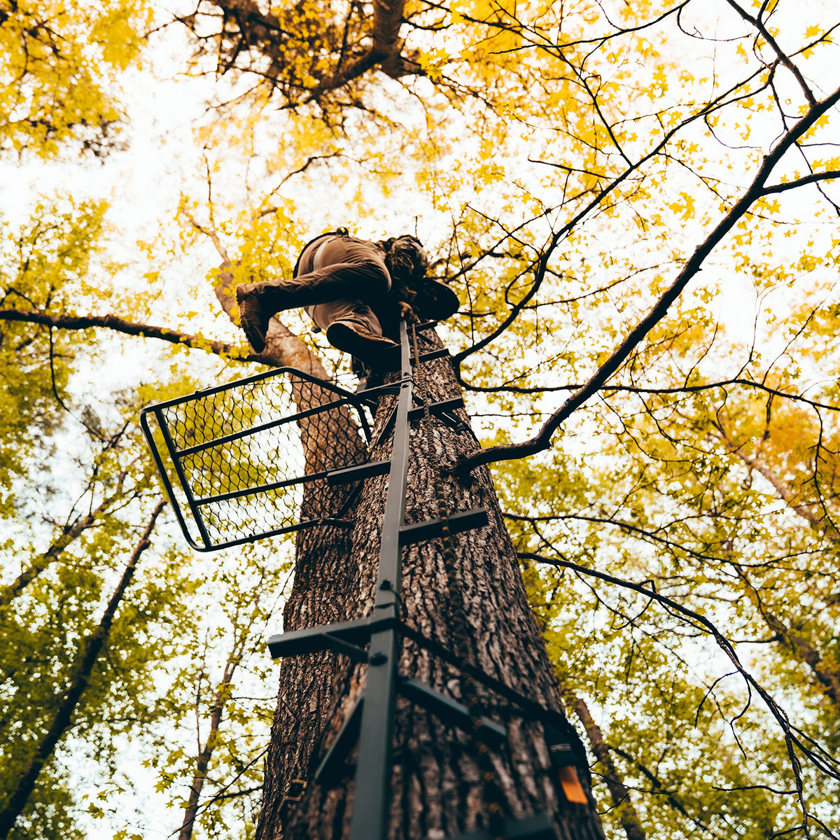 20’ Tree Climbing Stick W182944